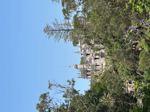 Stone manor resembling a castle peeks through lush trees against a clear blue sky in Sintra.