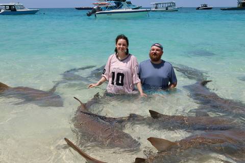 Two travellers stand waist-deep in clear turquoise water surrounded by gentle nurse sharks.