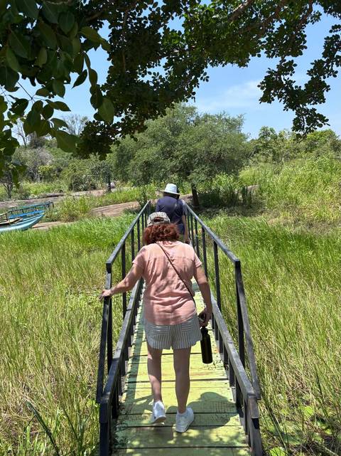 Two travelers walk across a narrow metal footbridge surrounded by lush green marsh and trees on a sunny day