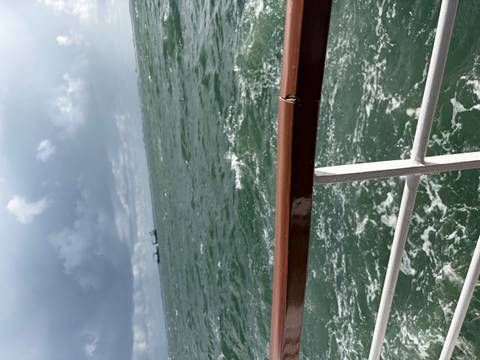 Choppy green sea viewed over the railing of a boat, with two cargo ships on the distant horizon beneath stormy clouds.
