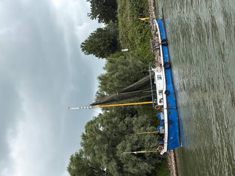 A small blue working boat anchored near a green, tree-lined riverbank under grey skies.