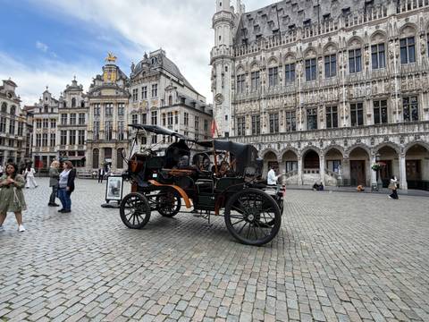 Vintage horse-drawn carriage displayed on Brussels’ Grand Place with ornate historic buildings as backdrop.