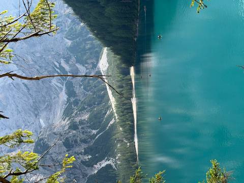 Emerald alpine lake ringed by dense pines and steep rocky slopes, seen through an overhanging branch.