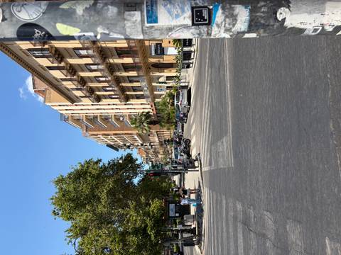 Busy Palermo street lined with historic apartment buildings and summer trees