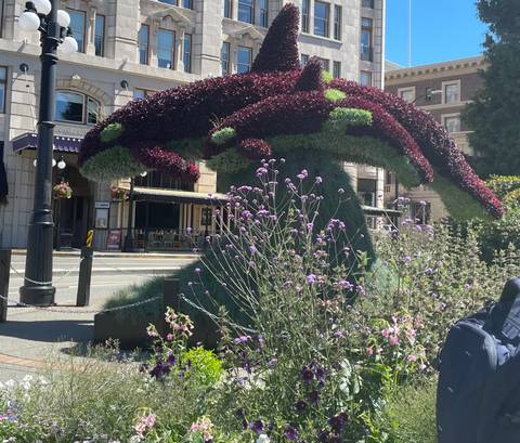 Floral topiary shaped like a giant mushroom with purple blooms in foreground city street