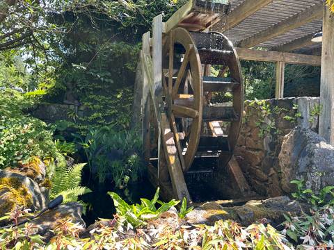 Wooden water wheel turning beside stone wall surrounded by lush garden plants
