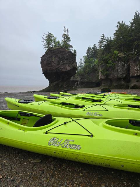 Row of bright green kayaks resting on the muddy beach below towering tide-carved rock formations.