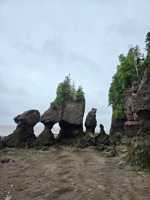 Iconic flowerpot sea stacks and rugged shoreline standing against a grey sky at low tide.