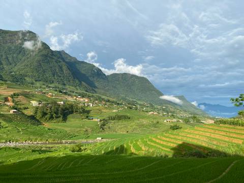 Verdant terraced rice fields cascade down a broad valley with mist-topped mountains and a bright blue sky.