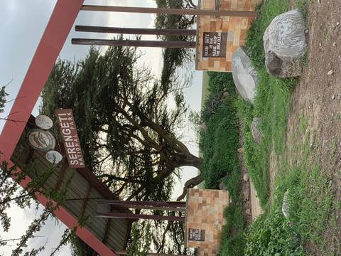 Entrance arch to Serengeti National Park with acacia tree background and park signage.