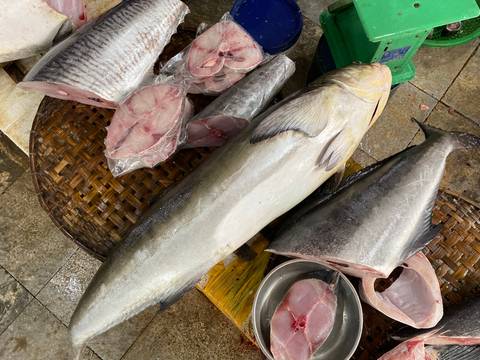 Freshly cut fish and large whole catch displayed on a woven mat at a wet market.