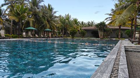 Large resort swimming pool surrounded by palm trees and deck chairs in the late afternoon.