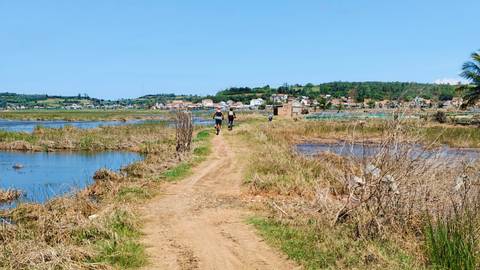 Cyclists riding along a narrow dirt path between flooded fields with a rural village beyond.