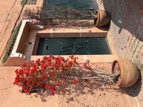 Decorative dark green door in an ochre wall framed by blooming red flowers in clay pots.