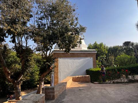 Traveler standing near garden with flowering bushes and white domed structure.