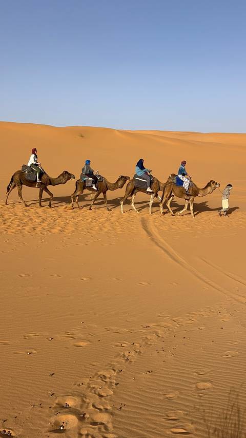 Line of travellers riding camels across golden Erg Chebbi sand dunes under clear sky
