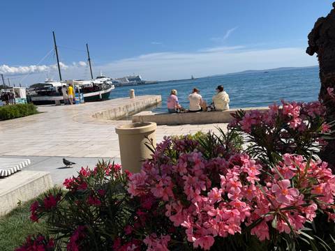 Seaside promenade with travelers sitting by the water and vibrant pink flowers in foreground