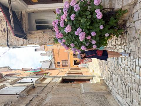 Traveler posing with hydrangeas on a cobblestone alley in Rovinj old town