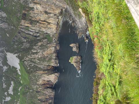 Tall coastal cliffs and rocky stacks rising from dark water with lush greenery on top