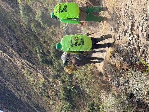 Porter leading a pack mule laden with gear up a dusty Andean trail