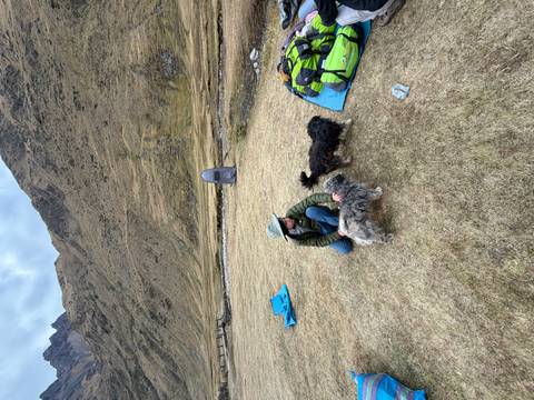A camper kneels to pet two friendly dogs on a grassy alpine campsite with rugged hills behind.