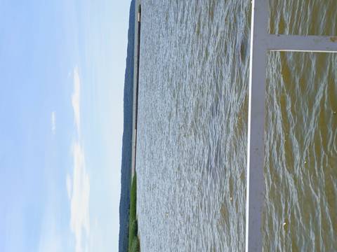 Open expanse of rippling water viewed from the railing of a boat with distant low shoreline.