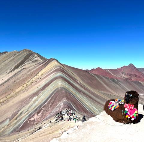 Striking multicoloured ridges of Rainbow Mountain under a clear blue sky with a decorative llama in the foreground.