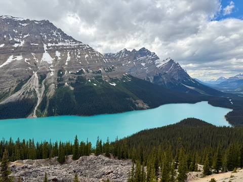 Photo d'avis client sur Circuit de 6 jours dans les Rocheuses : Aventure dans les parcs nationaux de Banff, Yoho, Jasper et Waterton
