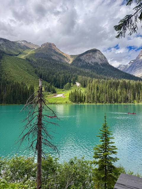 Photo d'avis client sur Circuit de 6 jours dans les Rocheuses : Aventure dans les parcs nationaux de Banff, Yoho, Jasper et Waterton