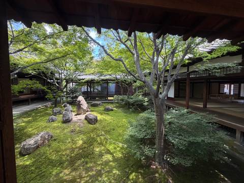 Tranquil moss-covered Zen garden with rocks, manicured trees and wooden corridors surrounding it.