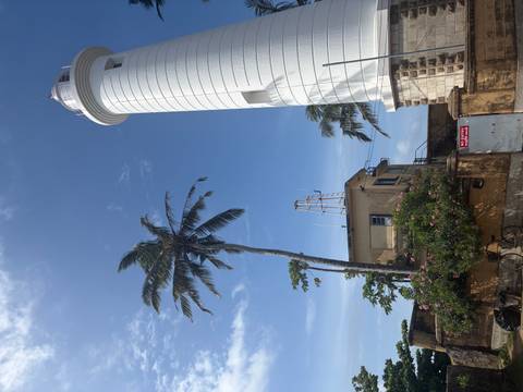White lighthouse and swaying palm tree rise against a bright blue sky along coastal fort walls.