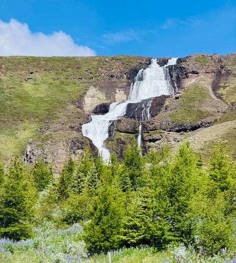 Multi-tiered waterfall cascading down a green cliff with pine trees in the foreground