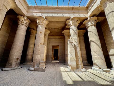 Sunbeams light intricately carved stone columns inside an ancient Egyptian temple.