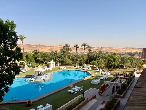 A resort pool overlooks palm trees and desert hills under a clear sky.