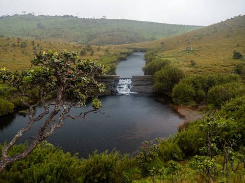 A small cascade pours over a stone weir into a tranquil pond surrounded by misty highland greenery.