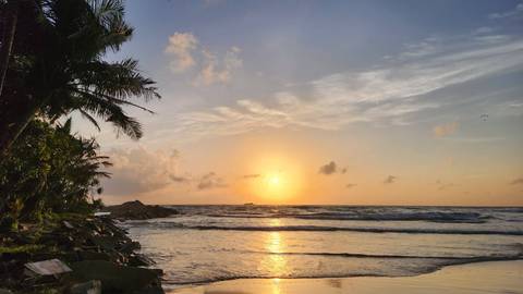 Golden sun sets over gentle waves and a palm-lined tropical shoreline.