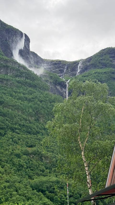 Verdant mountainside with a tall narrow waterfall dropping between lush trees in a Norwegian fjord landscape.