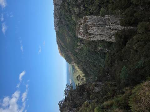 Deep green gorge framed by rugged cliffs and forested slopes stretching toward the distant ocean horizon.