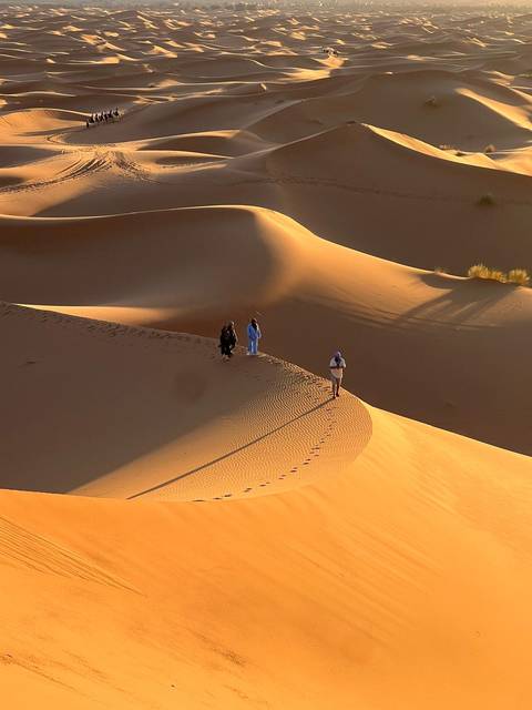 Travellers walking along a golden Sahara dune ridge in warm low sunlight.