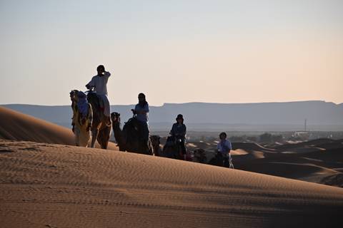 Camel caravan descending a dune in soft evening light with distant hazy mountains.