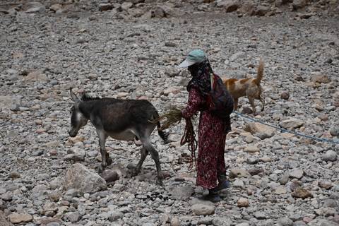 Local woman leading a donkey across a rocky dry riverbed, accompanied by a dog.