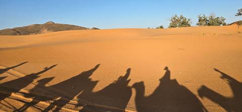 Golden desert dunes with elongated silhouettes of riders atop camels cast across the sand at low sun.