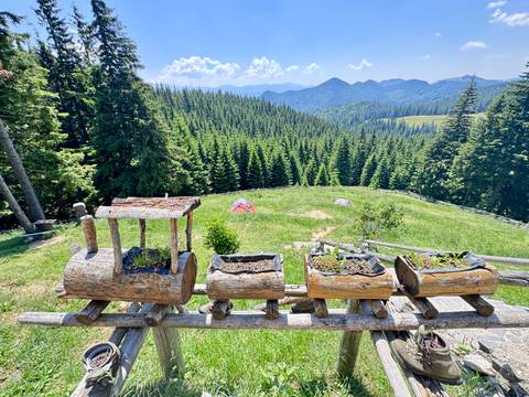 Hand-carved wooden planter train overlooking rolling Carpathian forest mountains and tents below.