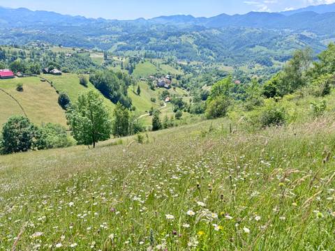Wildflower-speckled meadow sloping toward rolling green valleys and distant villages.