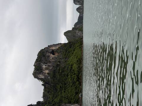 Dramatic limestone karst cliffs rise above calm, green water under an overcast sky in Halong Bay.