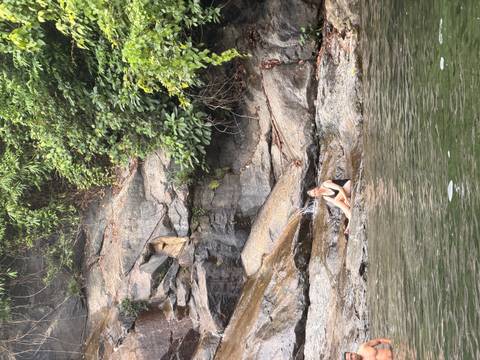 A woman in swimwear relaxes on wet rocks beside a calm natural pool at the base of a forested cliff.