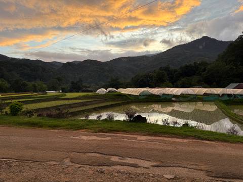 Golden clouds over mountain valley with rice paddies and greenhouse domes at dusk