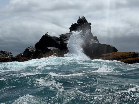 Dramatic ocean spray as wave crashes against rocky outcrop with seabirds perched on top