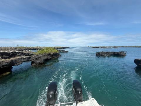 Speedboat wake in clear blue channel among black lava rock arches and mangroves