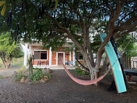 Simple island guesthouse with hammock under shady tree and surfboard resting against trunk